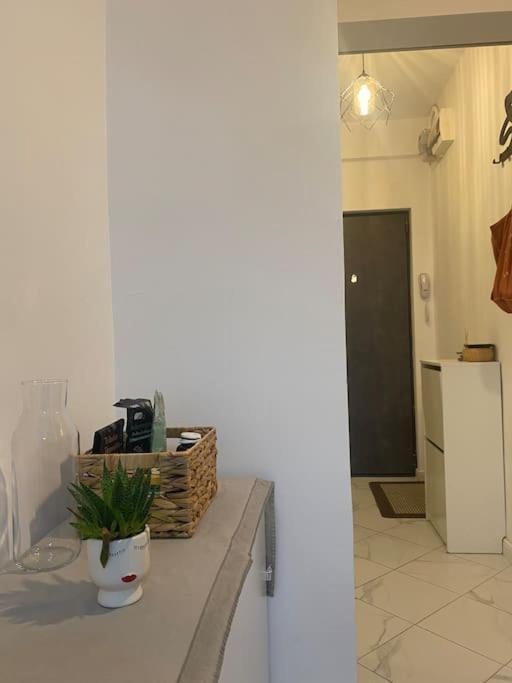 Appartamento Modern & Cozy Bucarest
