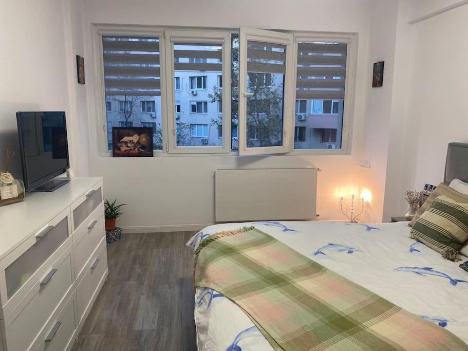 Modern & Cozy * Bucureşti