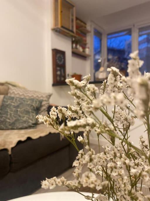 Apartament Modern & Cozy Bucureşti